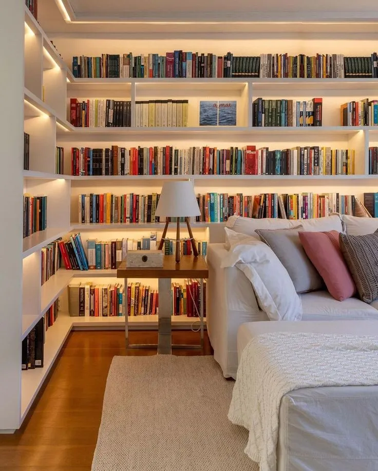 Book shelf Ideas